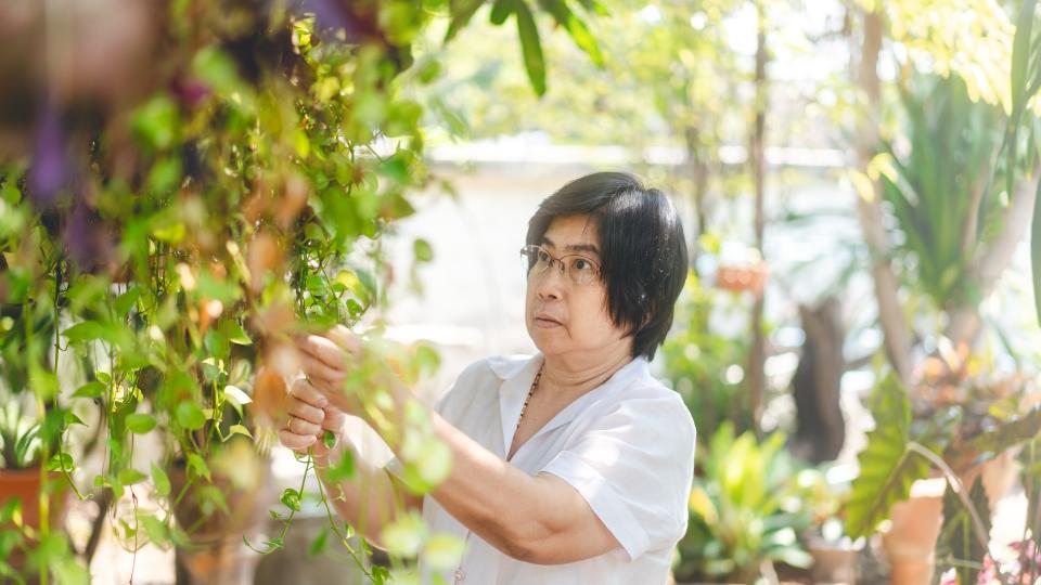 An elderly woman carefully lifting a potted plant with a gentle smile on her face.