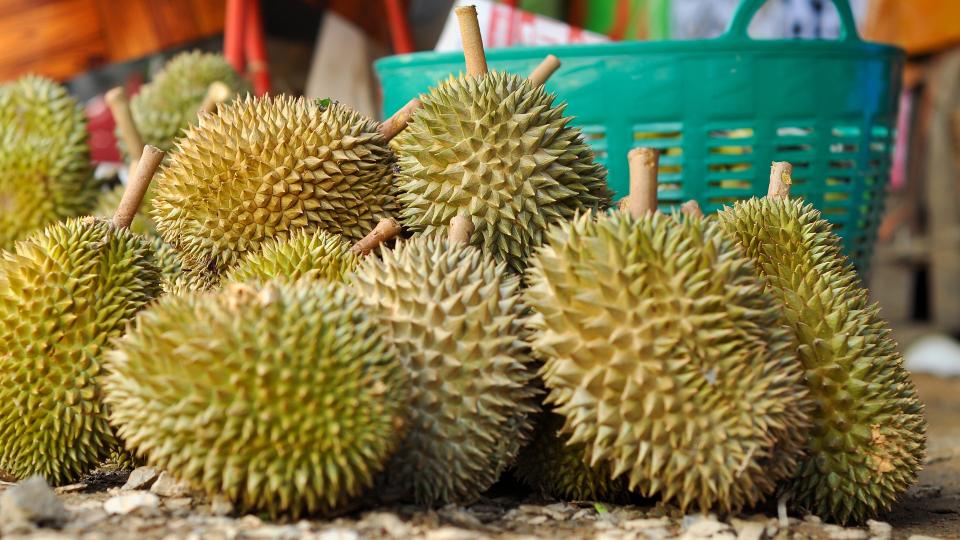 A stack of durian fruit on the floor, spiky green shells with yellow flesh peeking out.