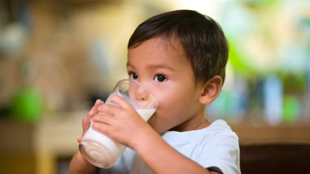A young child sitting at a table, holding a glass of milk and taking a sip.Benefits of Drinking Milk