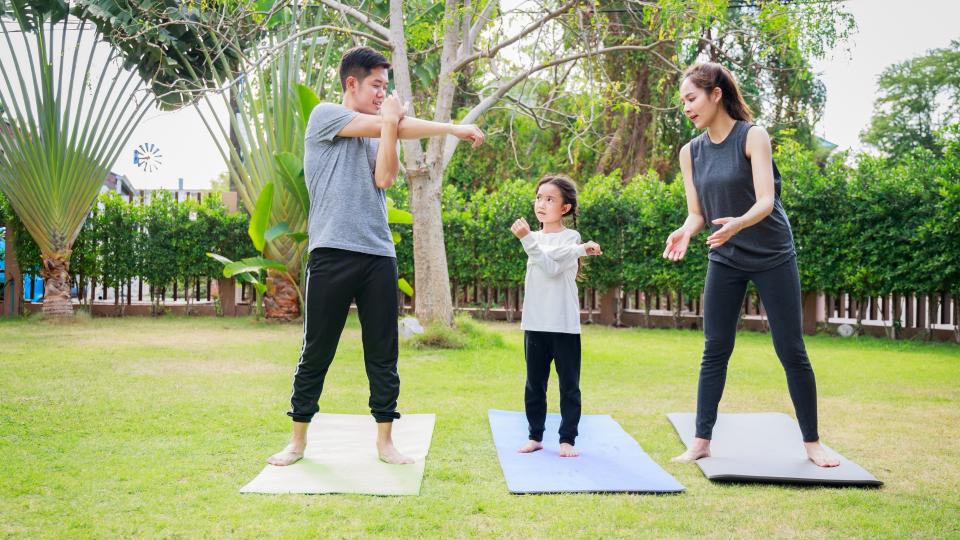 A family practicing yoga in a serene park, finding balance and harmony through mindful movements.